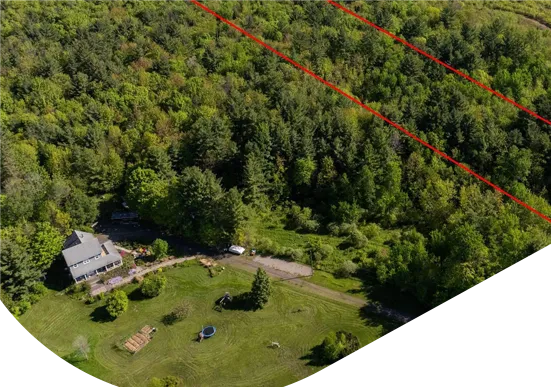 Terrain boisé avec délimitation des limites de propriété